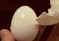 Can You Boil An Egg Without The Shell?