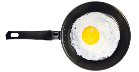 egg solidify