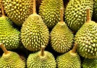 How Long Does Durian Last Unopened?